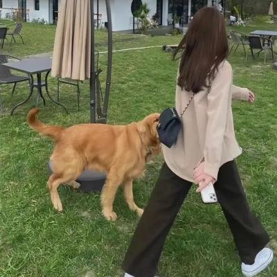 曼迪